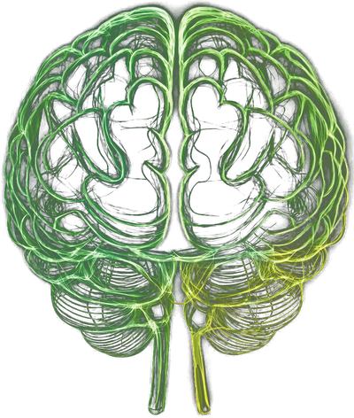 raciocin brain